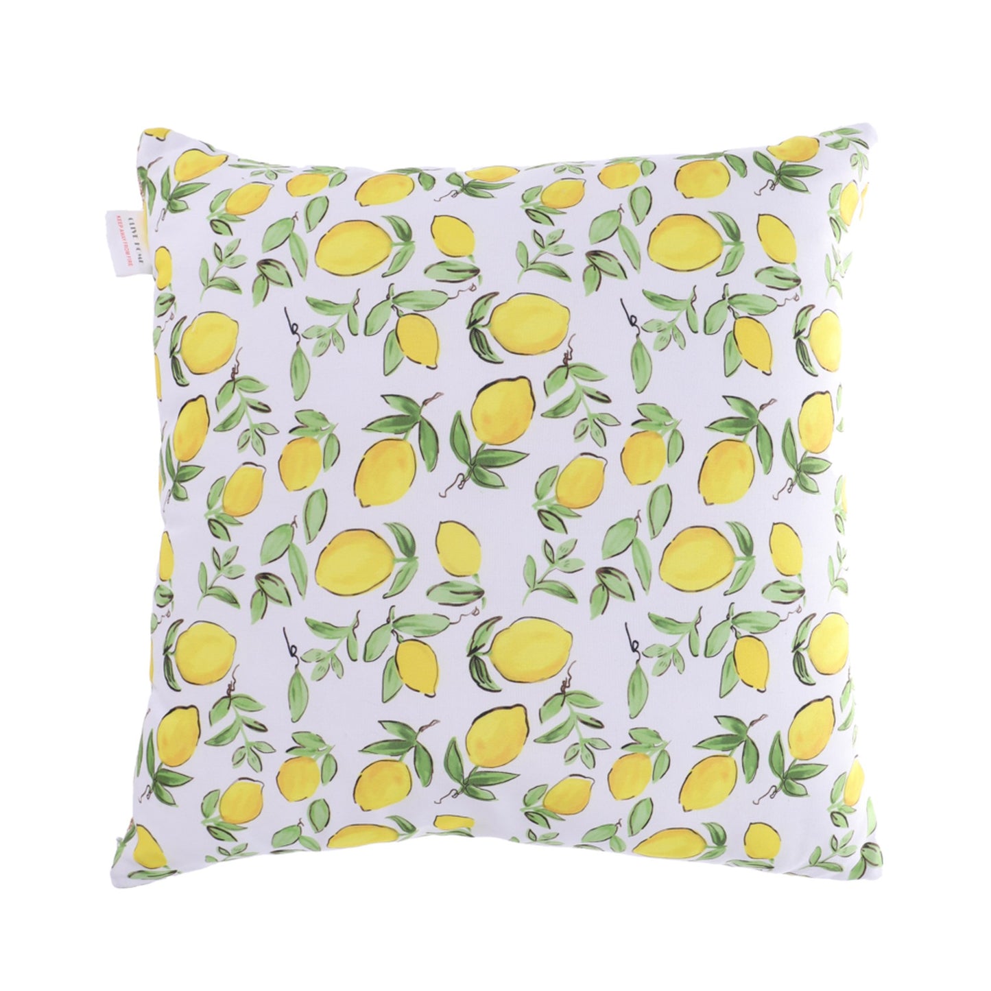 HONEY Lemon Throw Pillow Cover Fruits and Leaves Floral Linen Fabric for Couch Bed Sofa Car Waist Cushion